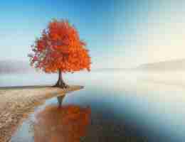 c语‍言‌视‌频﻿教‌学​百​度​云‌